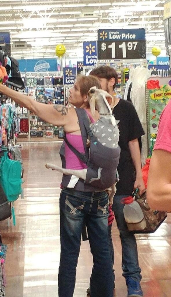 goat People Of Walmart